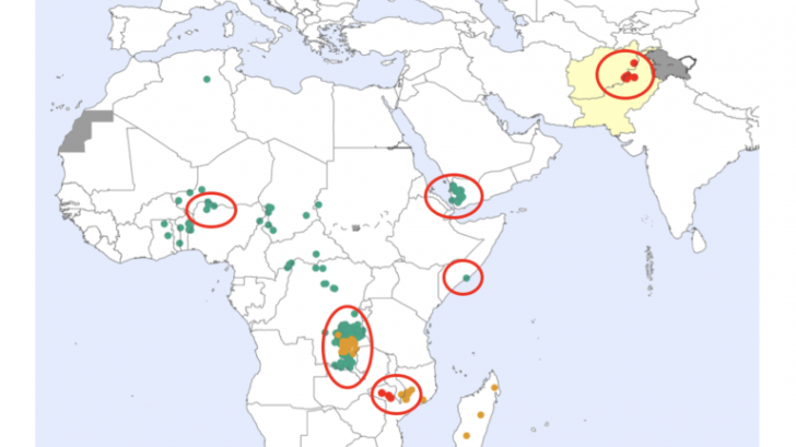 Polio eradication in children