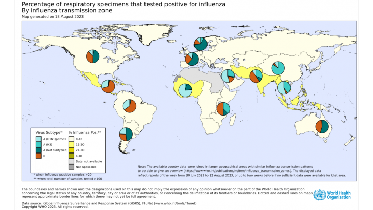 Flu season 2023 trends