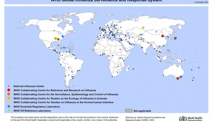 map of rsv cases