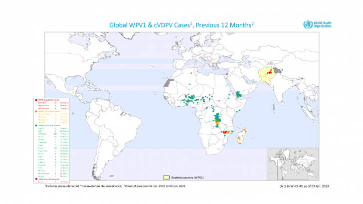 Polio confirmations worldwide