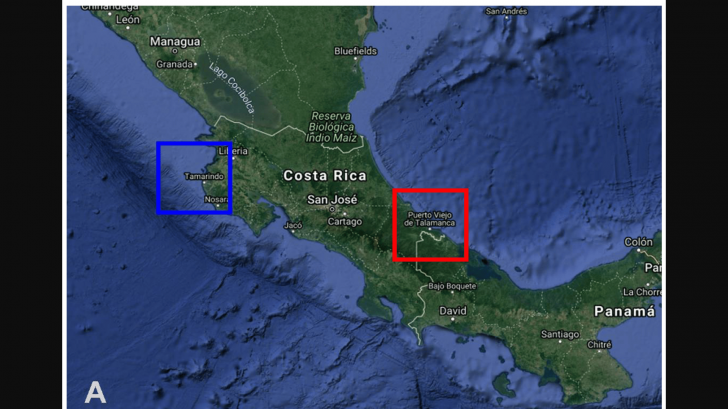 Viruses in Costa Rica 2023