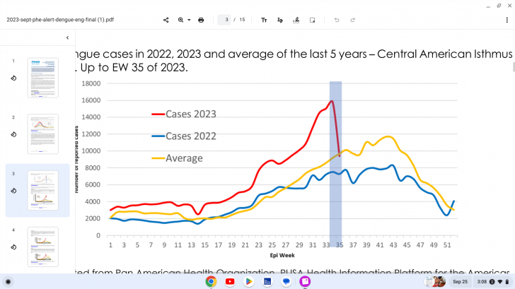 Dengue outbreaks 2023