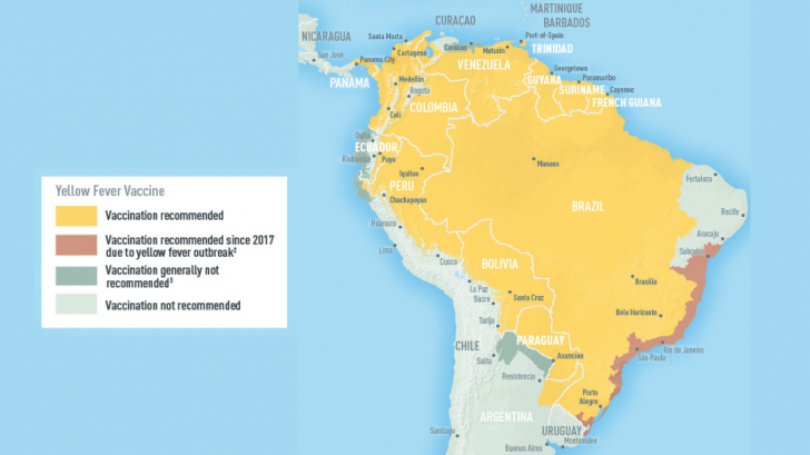 yellow fever vaccine
