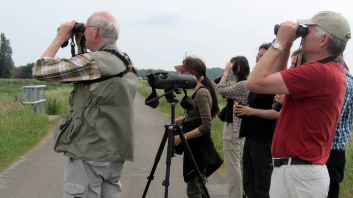 Bird flu outbreaks 2023