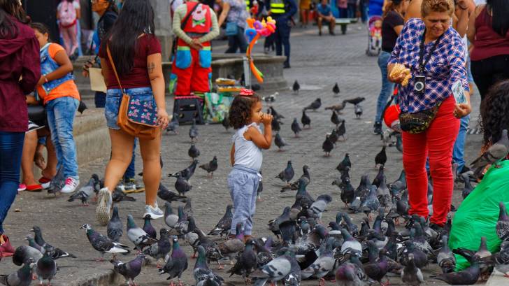 children and folks in a square feeding birds