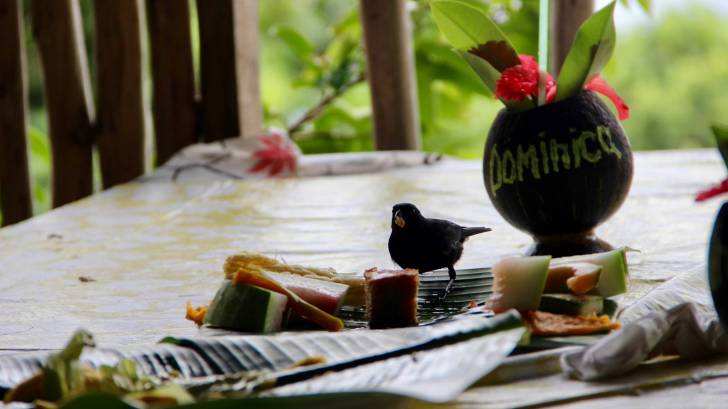 dominica island food and drink