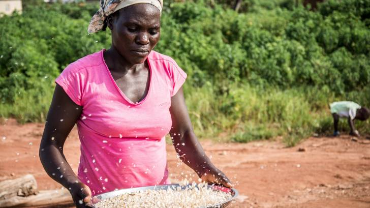 african woman farmer