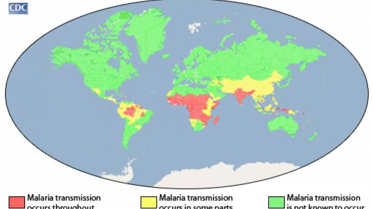 Malaria cases worldwide