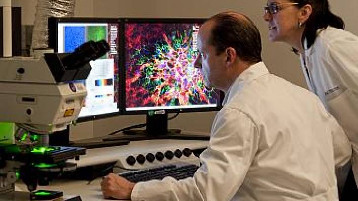 Monkeypox treatment research