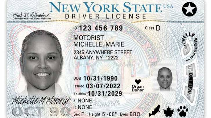 TSA approved drivers license