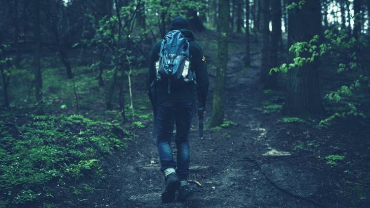 hiking in the woods