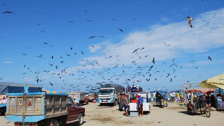 ocean side town in ecuador