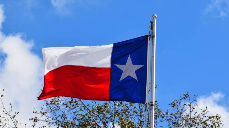 texas state flag