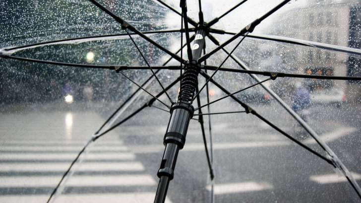clear umbrella