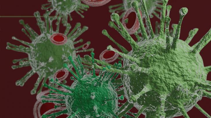 coronavirus and cells depicted 