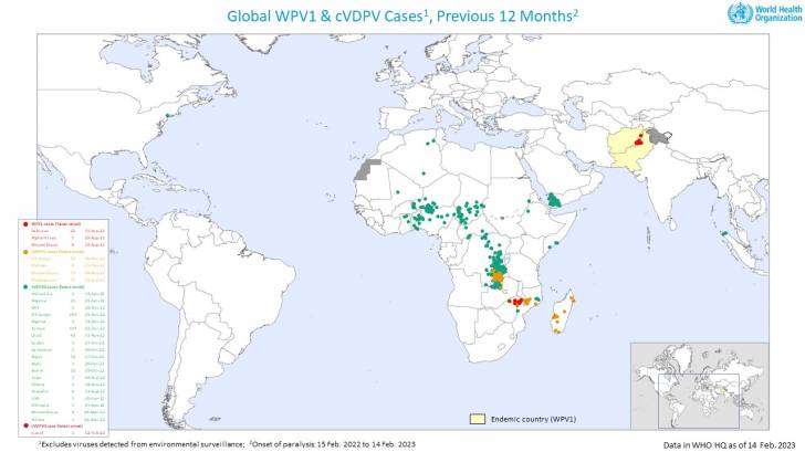 Polio infected countries 2023