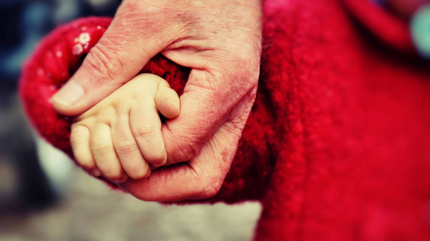 dad holding hand of toddler