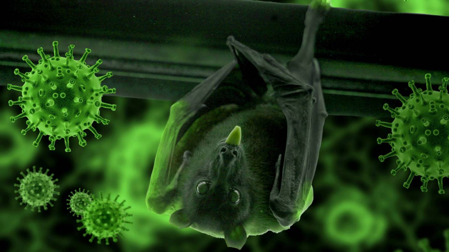 depiction of virus with a bat hanging