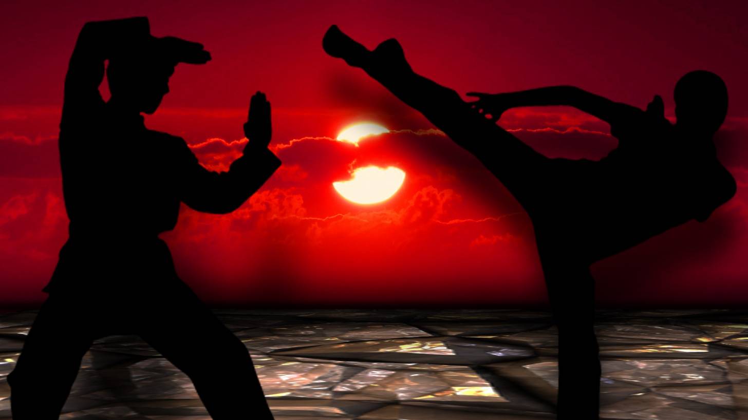 martial arts, 1 2 kick fight