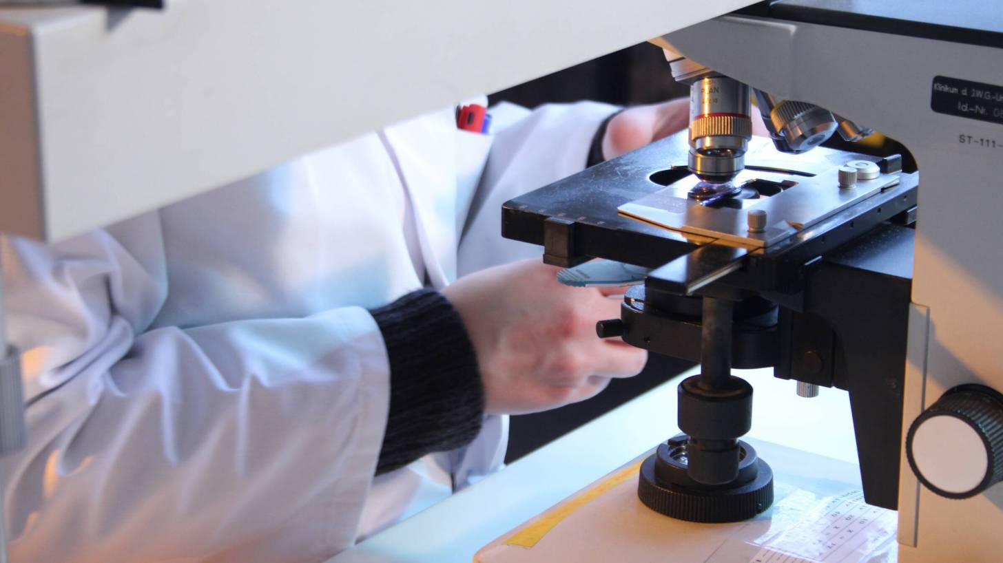 scientist using a microscope