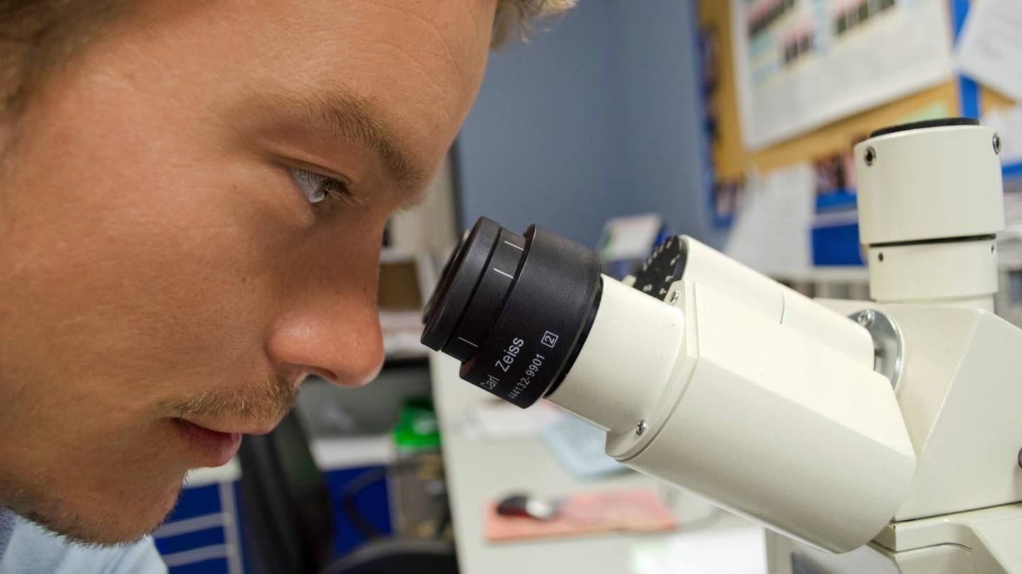 man looking through a microscope
