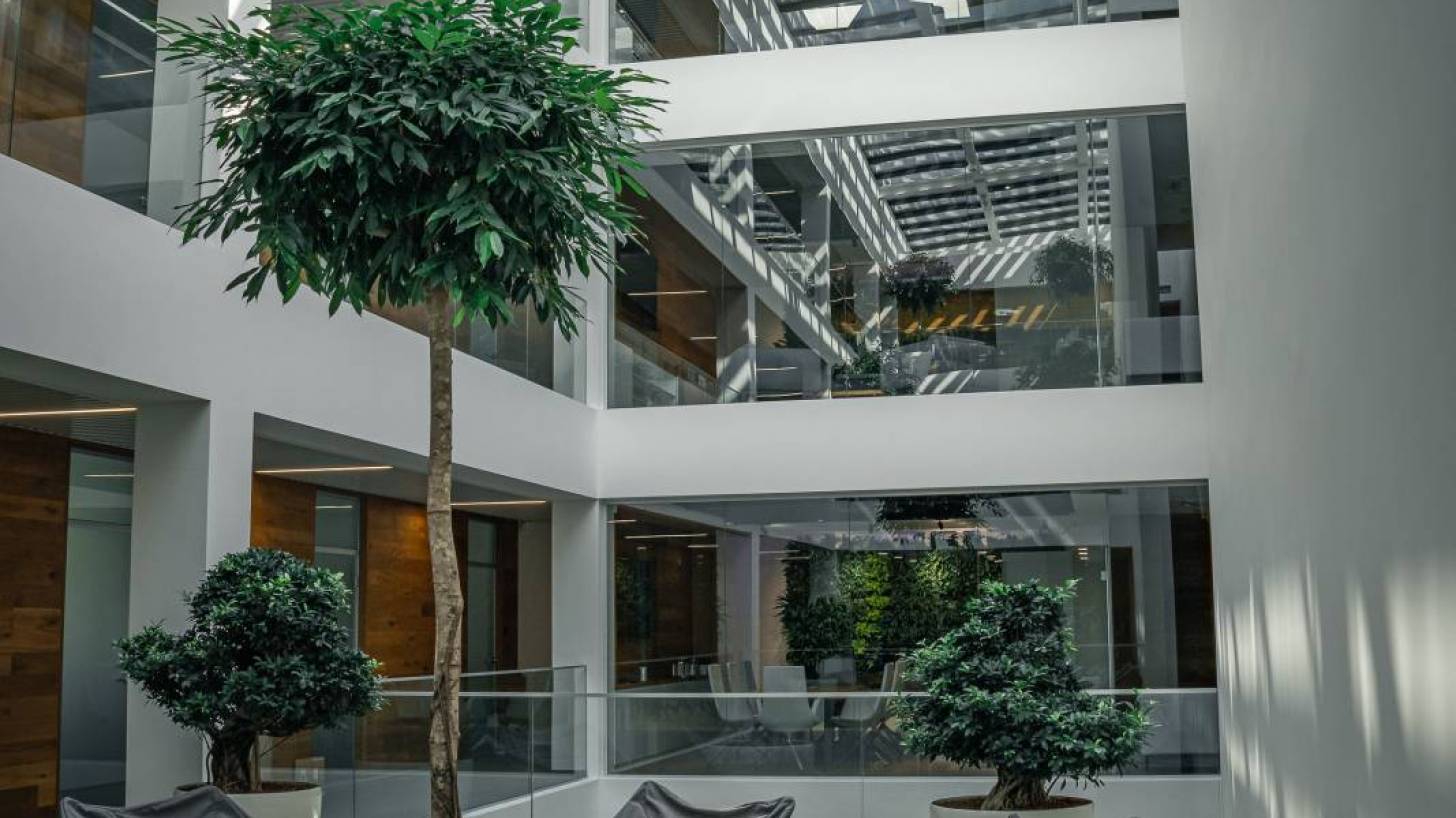 interior of building with trees