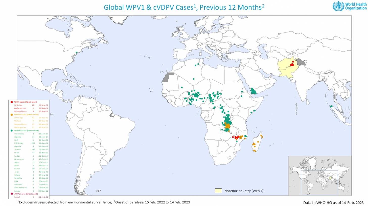 Polio infected countries 2023