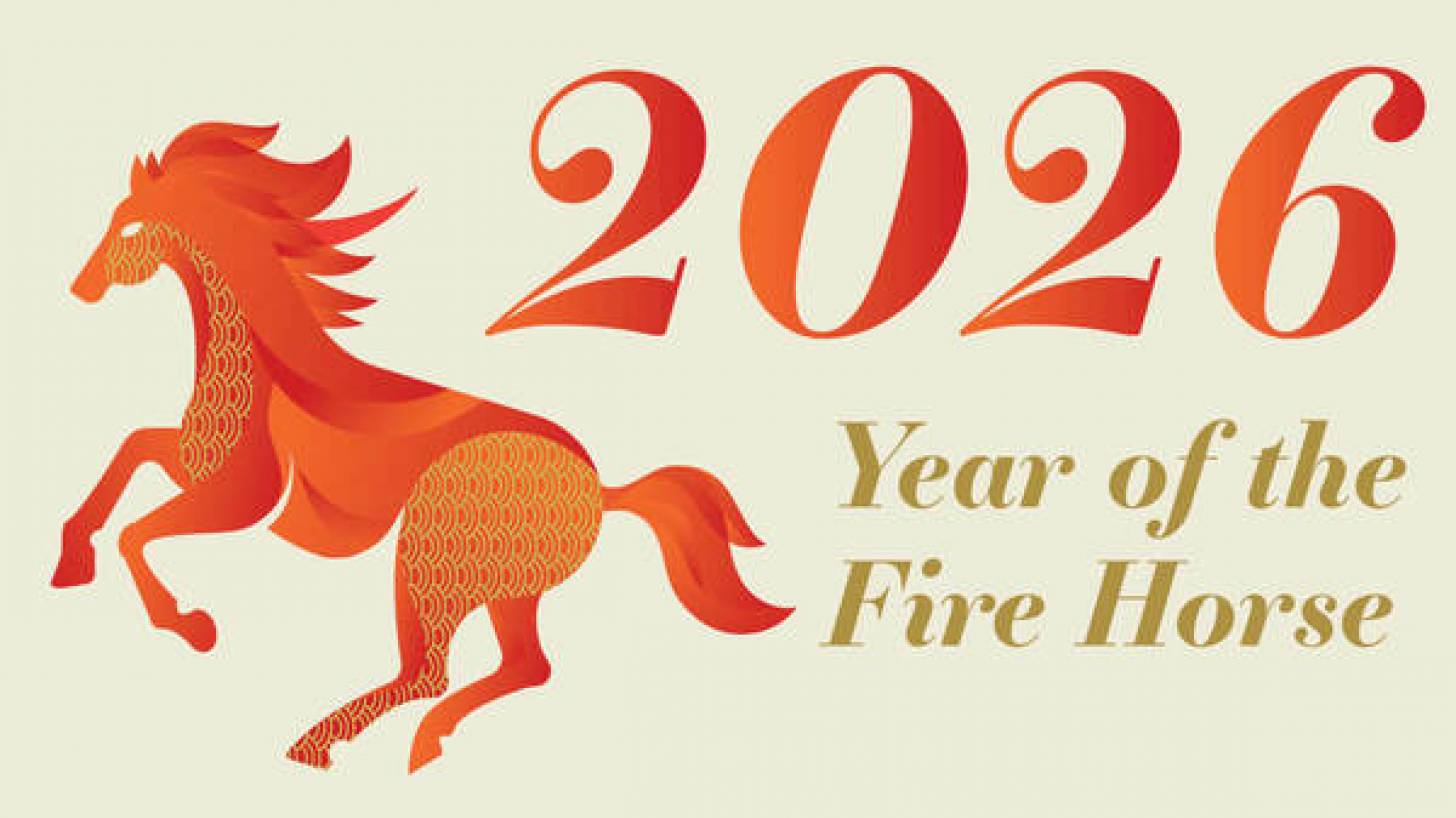 yellow fever vaccine 2026