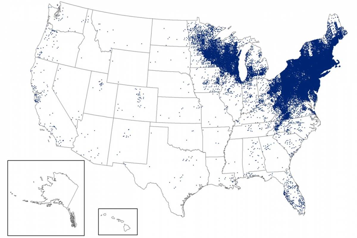 Lyme Disease Vaccination Benefits Confirmed