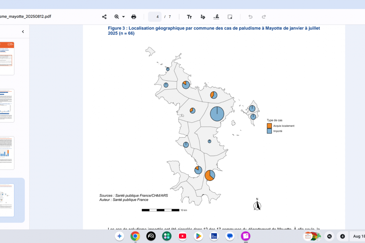 France's Mayotte Department Detects 12 Local Malaria Cases