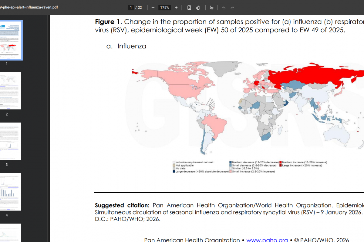 Seasonal Influenza Viruses Are Circulating in the Americas