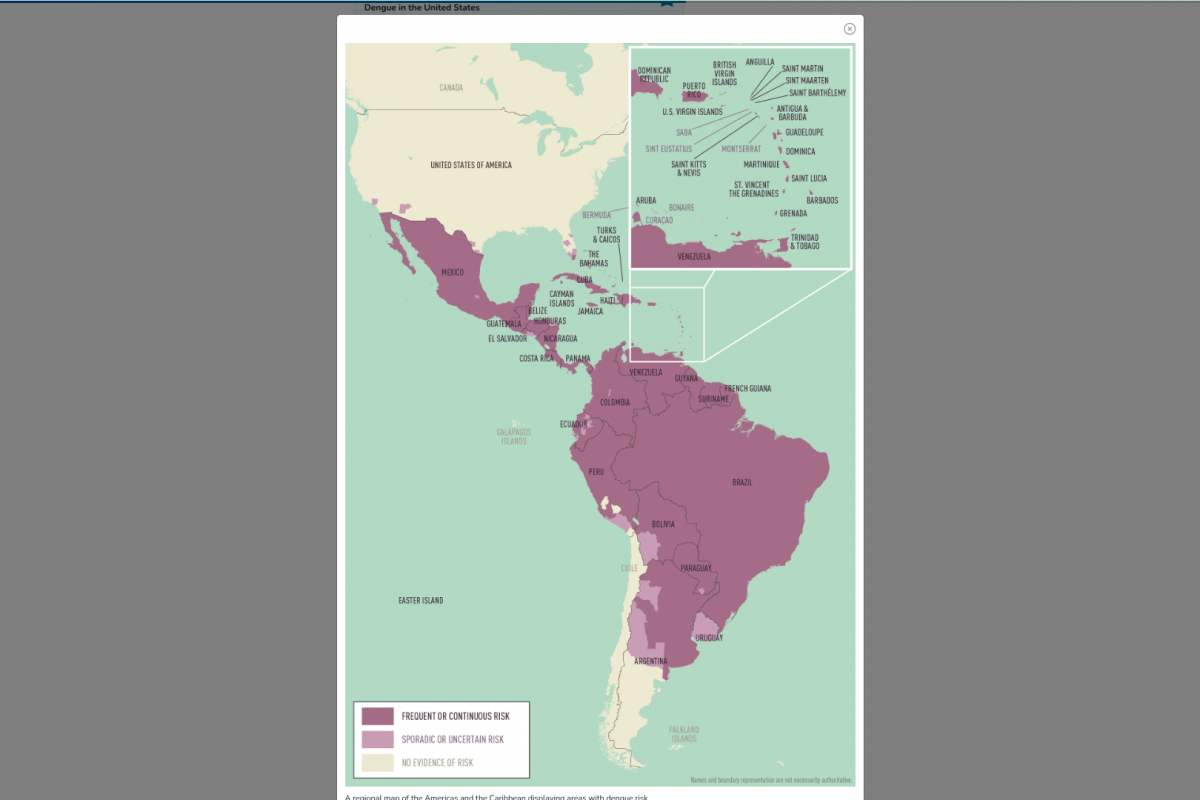 DENV-2 Dominants Peru's Dengue Outbreaks