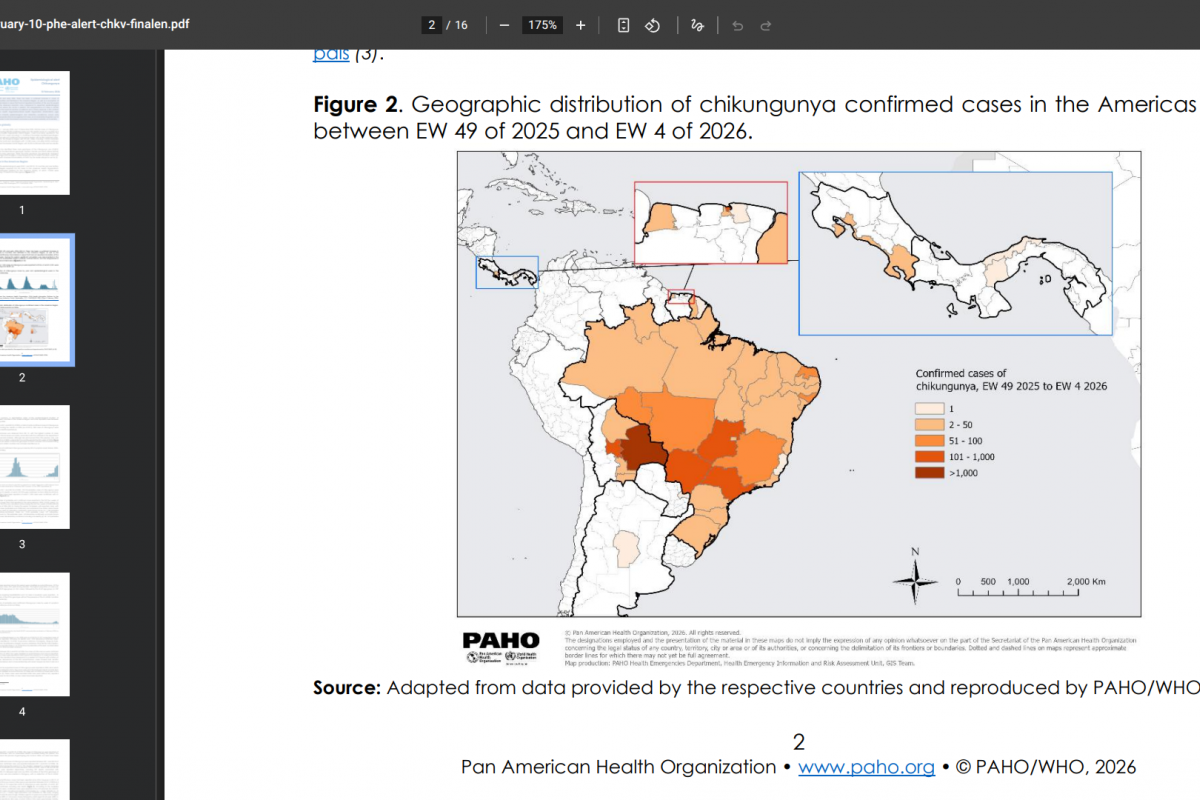 Chikungunya Virus Genotypes Causing Outbreaks in the Americas