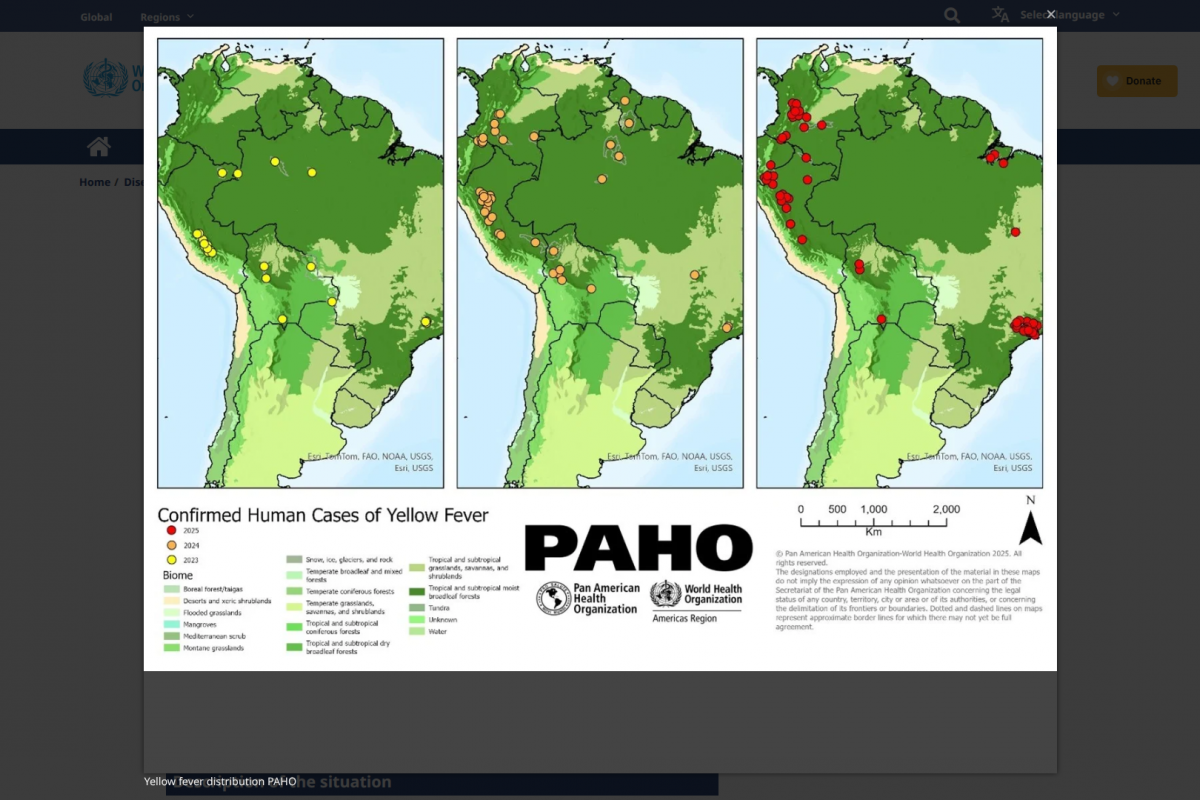 Venezuela Battles Surging Yellow Fever Outbreak Across 14 States; Nationwide Vaccination Drive Launched