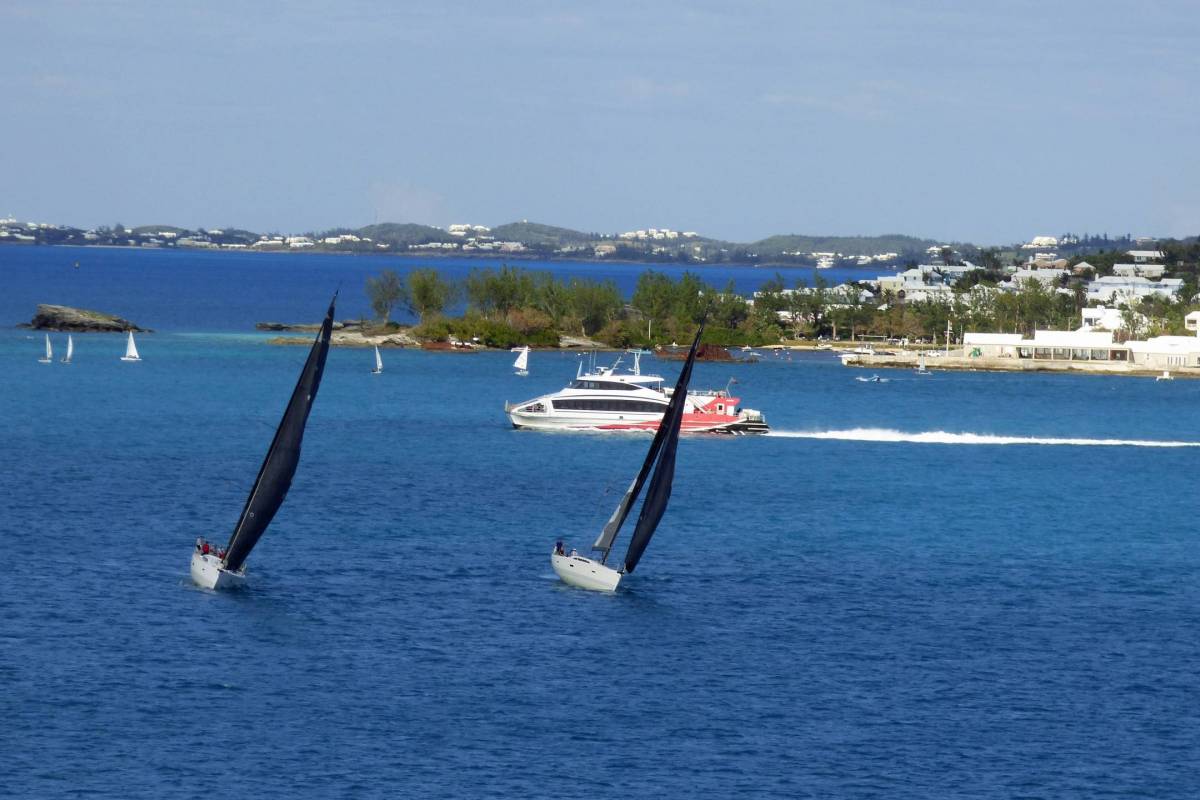 Bermuda Travel Advisory Updated Amid Mosquito-Borne Disease Concerns