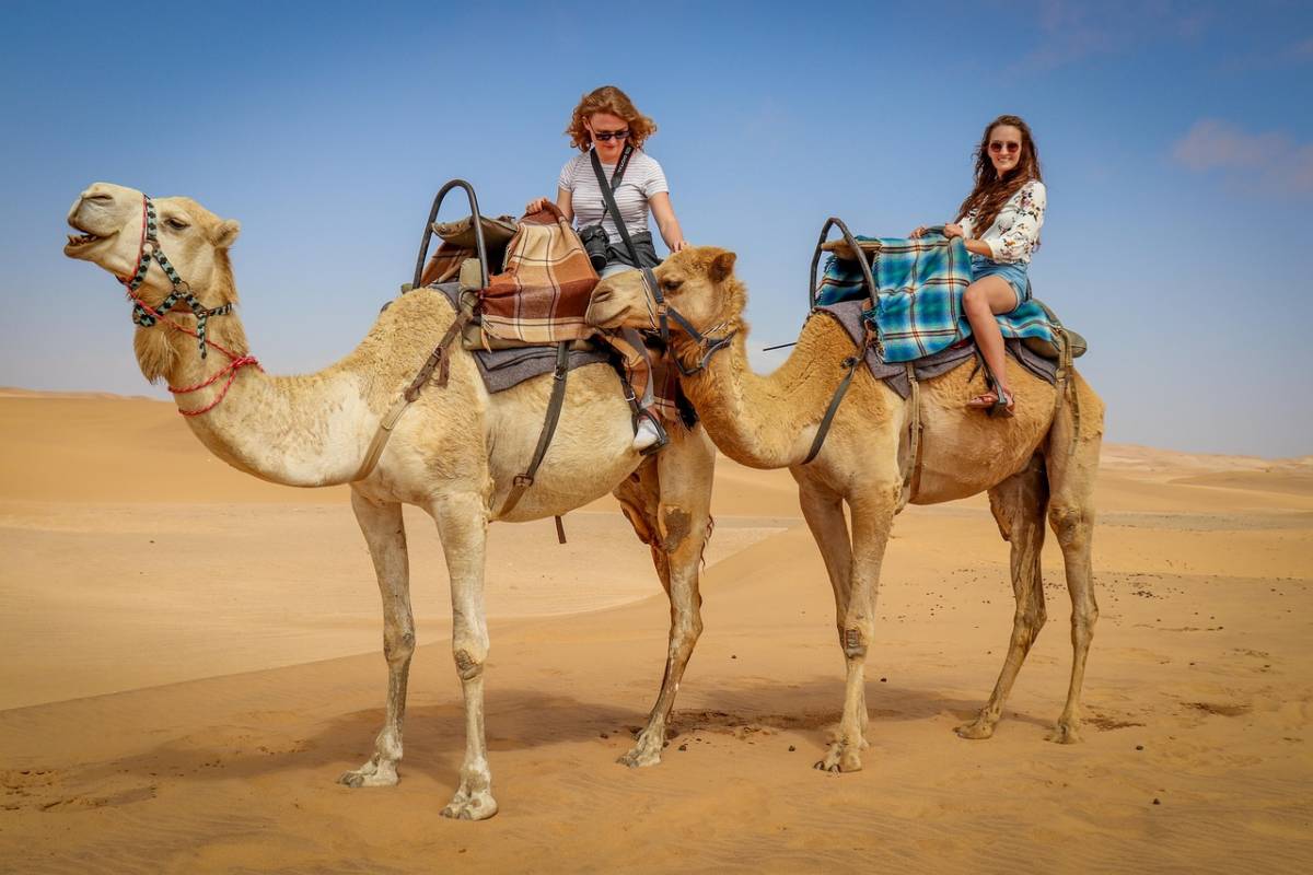 Camel Rides and MERS Shouldn't Mix in 2026