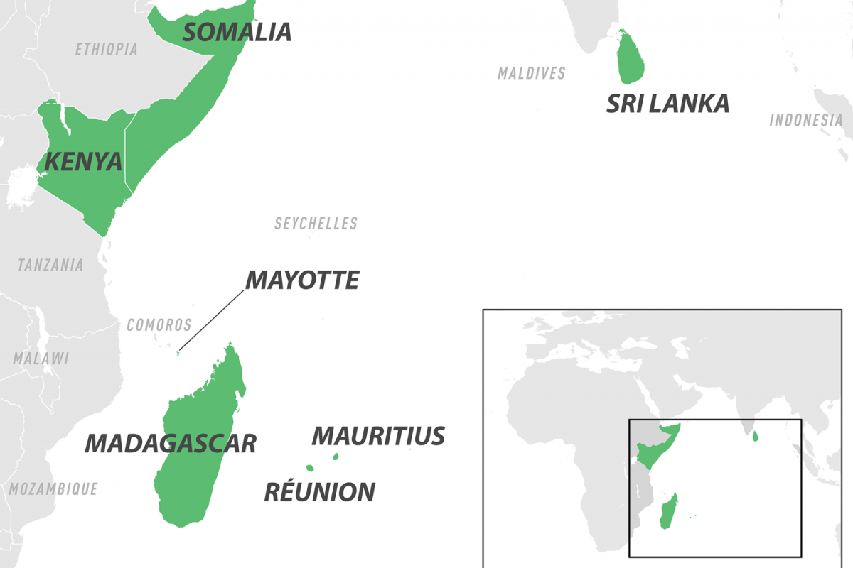 Where Are Chikungunya Cases Coming From in 2025
