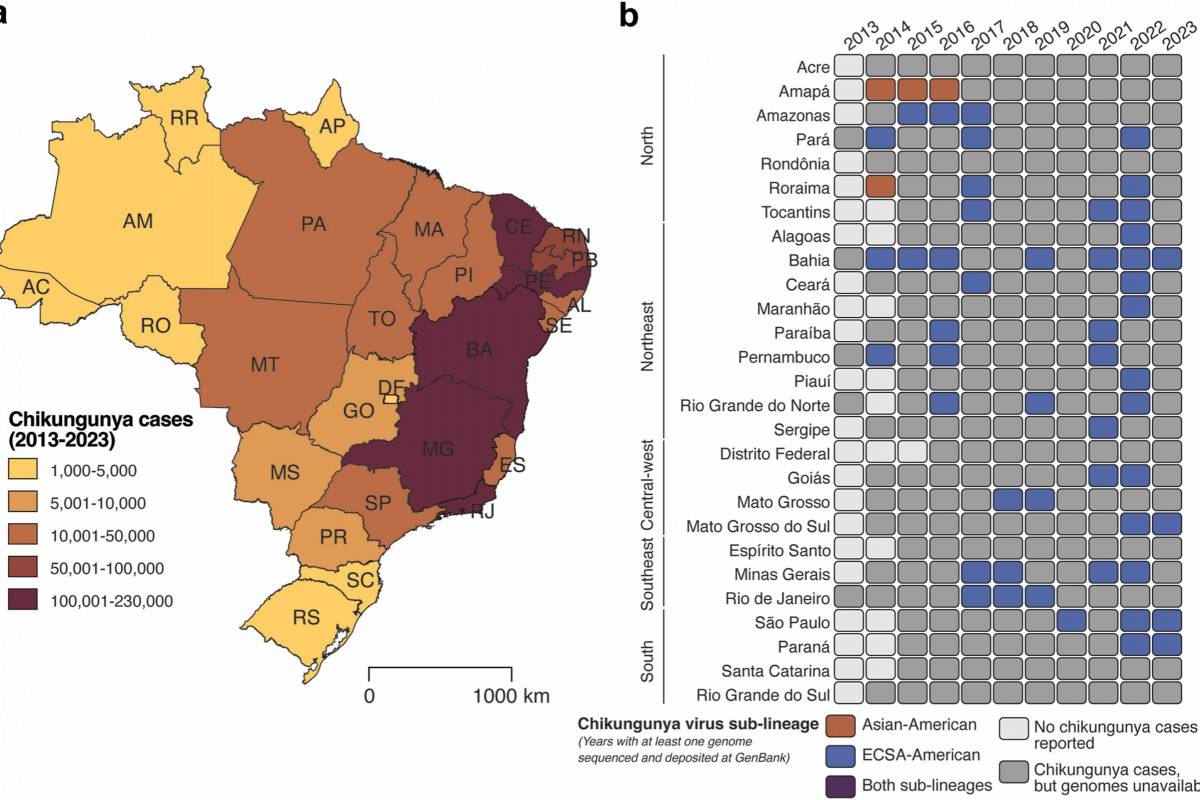 Brazil to Launch Virus-like Particle Chikungunya Vaccine in 2027