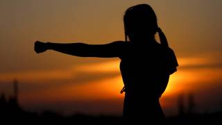 karate move in the sunsetting