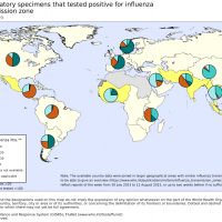 Flu season 2023 trends