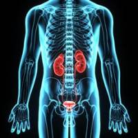 bladder cancer vaccine