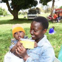 The International Certificate of Yellow Fever Vaccination