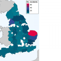Bird flu cases 2023