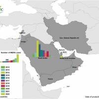 MERS cases related to camels