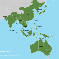 encephalitis vaccine