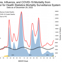 Pneumonia influenza fatalities 