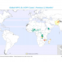 Polio confirmations worldwide