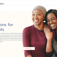 Pancreatic cancer therapy