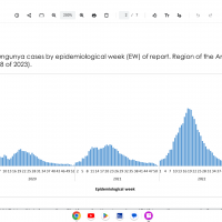 Chikungunya cases 2023