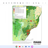 Brazil yellow fever 2023